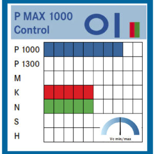 P MAX 1000 CONTROL